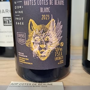 Pétillant Naturel Blanc - Chapuis & Chapuis - romain-jean-guillaume-chapuis -2022