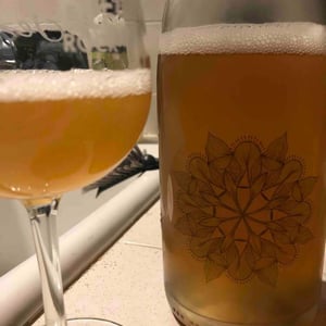 Petillant Naturel 2019