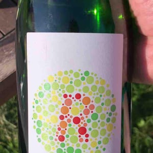Pet Nat Roussanne - Romain Le Bars - Romain Le Bars -2021