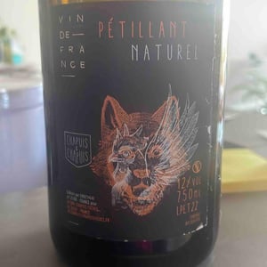 Pétillant Naturel - Chapuis & Chapuis - romain-jean-guillaume-chapuis