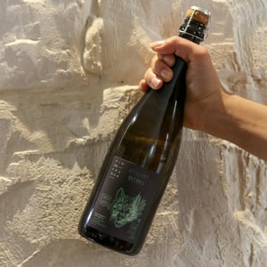 Pétillant Naturel (blanc) - Chapuis & Chapuis - romain-jean-guillaume-chapuis