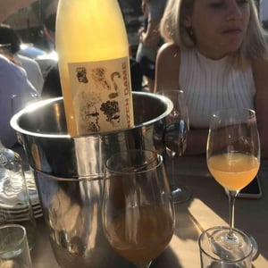 Petillant Naturel - Riesling - Bloomer Creek Vineyard - Kim Engle & Debra Bermingham 