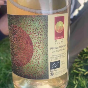 Petillant Naturel - Domaine de Lucey - anne-cecile-pflieger-erwan-buchwalter -2023