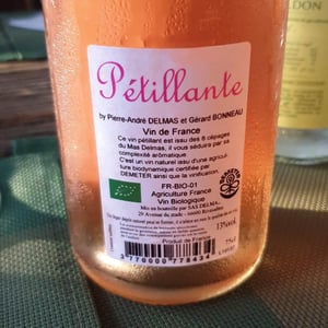 Pétillante - Mas DELMAS - Pierre-André Delmas 