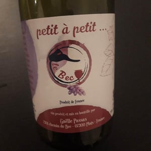 Petit À Petit - Gaëlle Passas - Gaëlle Passas 