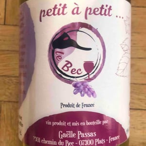 Petit À Petit - Gaëlle Passas - Gaëlle Passas 