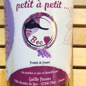 Petit À Petit - Gaëlle Passas - Gaëlle Passas 