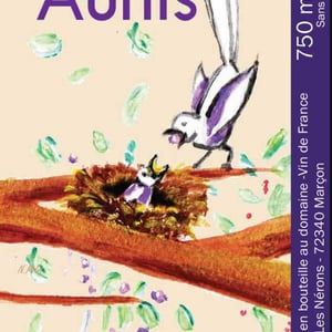 Petit Aunis 2018 2018 - Domaine des Pies Blanches - pierre-pradelle