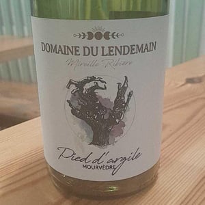Petit Bourgeon - Domaine du Lendemain - Mireille Ribière 