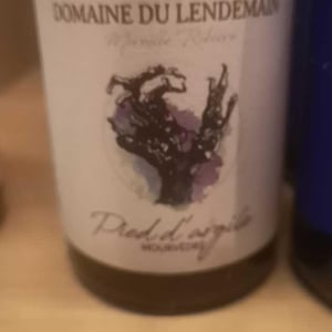 Petit Bourgeon - Domaine du Lendemain - mireille-ribiere