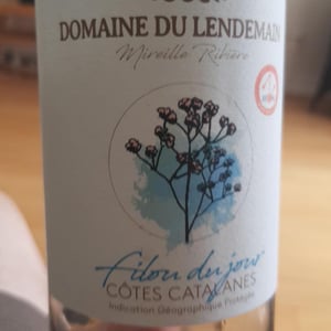 Petit Bourgeon - Domaine du Lendemain - mireille-ribiere
