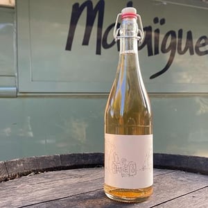 Petit en blanc - Domaine de Malaïgue - francois-reboul -2021