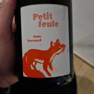 Petit Feule - Domaine Bornard - tony-bornard -2018