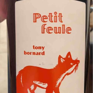 Petit Feule - Domaine Bornard - tony-bornard -2018