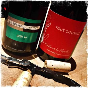 La Roche Buissière - Laurence & Antoine Joly - Petit Jo