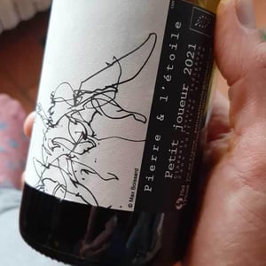 Petit Joueur - Domaine Pierre et l'étoile - pierre-regnault