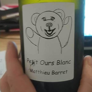 Petit Ours Blanc - Domaine du Coulet - matthieu-barret