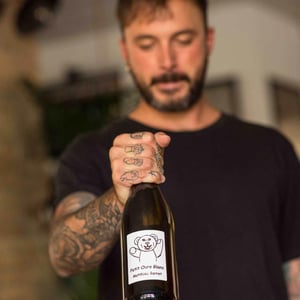 Petit Ours Blanc - Domaine du Coulet - matthieu-barret