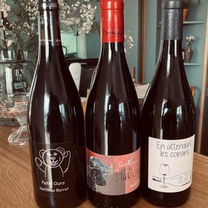 Petit Ours - Domaine du Coulet - matthieu-barret