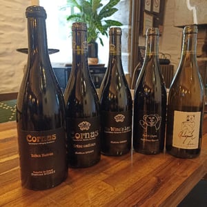 Petit Ours - Domaine du Coulet - matthieu-barret
