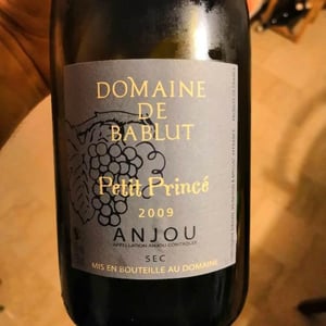 Petit Princé - Domaine de Bablut - Christophe & Antoine Daviau 
