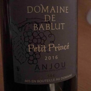 Petit Princé - Domaine de Bablut - Christophe & Antoine Daviau 