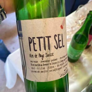 Petit Sel (X Domaine des Balisiers) - Pompette - Axel Caubet -2021