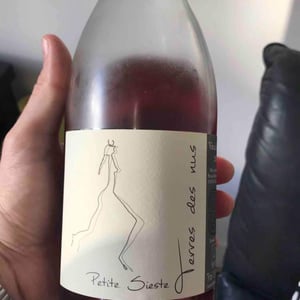 Petite Sieste Rosé - Terres Des Nus - Bruno Debon 
