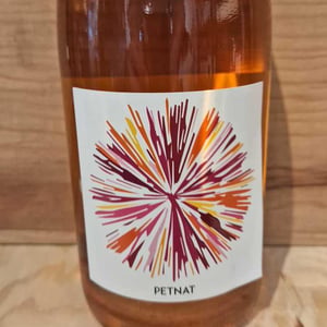 PetNat - Domaine Plaisance - Penavayre - louis-marc-et-thibaut-penavayre -2022