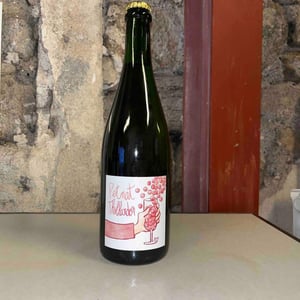 Petnat - Domaine Thillardon - aude-jean-baptiste-charles-et-paul-henri-thillardon