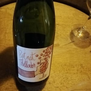 Domaine Thillardon - Aude, Jean-Baptiste, Charles et Paul-Henri Thillardon - Petnat