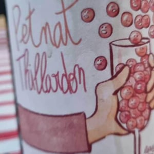 Petnat - Domaine Thillardon - Aude, Jean-Baptiste, Charles et Paul-Henri Thillardon 