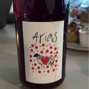 Petnat Punk à chèvre - Domaine Arias - Xoan Arias 