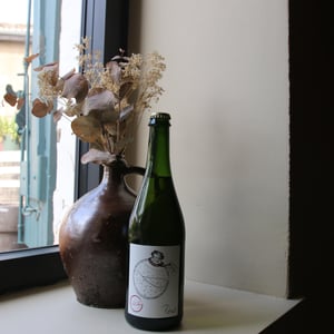 Petnat #21 - Domaine Chasselay - claire-fabien-chasselay -2021