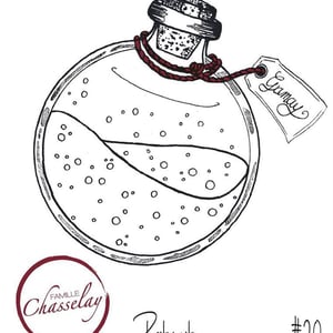 Petnat#19 - Domaine Chasselay - claire-fabien-chasselay
