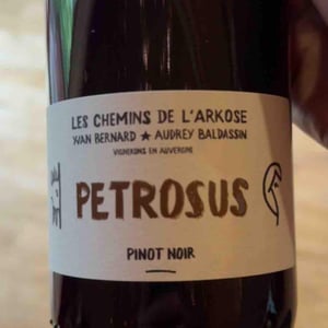 Petrosus (Label from 2020) - Les Chemins de l'Arkose - Yvan Bernard & Audrey Baldassin 