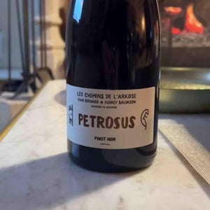 Petrosus (Label from 2020) - Les Chemins de l'Arkose - Yvan Bernard & Audrey Baldassin 