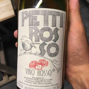 Pettirosso - Azienda Agricola Fonterenza - margherita-francesca-padovani