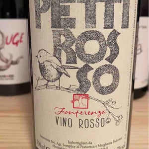 Pettirosso - Azienda Agricola Fonterenza - margherita-francesca-padovani