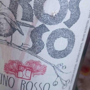 Pettirosso - Azienda Agricola Fonterenza - Margherita & Francesca Padovani 
