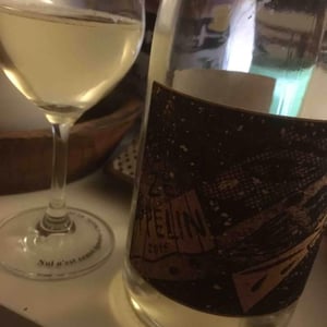 PetZeppelin - La Cave des Nomades - José Carvalho & Paulina Srzednicka 
