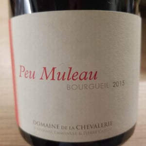 Peu Muleau - Domaine De La Chevalerie - Stéphanie, Emmanuel & Laurie Caslot 