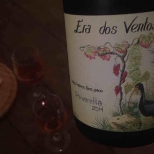 Era dos Ventos - Álvaro Escher, Luíz Henrique Zanini, Pedro Hermeto - Peverella