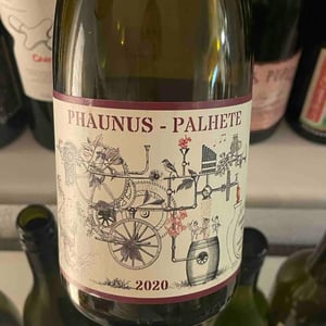 Phaunus Palhete - Aphros Wines Cellar - Vasco Croft, Tiago Sampaio & Miguel Viseu 