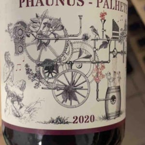 Phaunus Palhete - Aphros Wines Cellar - vasco-croft-tiago-sampaio-miguel-viseu