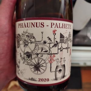 Phaunus Palhete - Aphros Wines Cellar - Vasco Croft, Tiago Sampaio & Miguel Viseu 