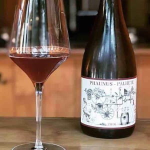 Phaunus Palhete - Aphros Wines Cellar - vasco-croft-tiago-sampaio-miguel-viseu