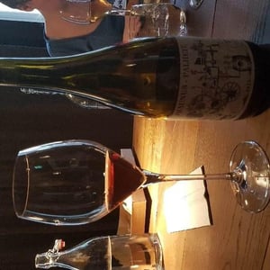 Phaunus Palhete 2015