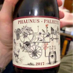 Phaunus Palhete - Aphros Wines Cellar - Vasco Croft, Tiago Sampaio & Miguel Viseu 