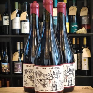 Phaunus Palhete - Aphros Wines Cellar - vasco-croft-tiago-sampaio-miguel-viseu